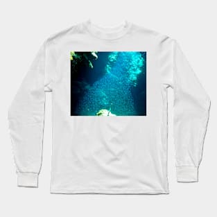 Tornado of Silver Fish Long Sleeve T-Shirt